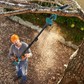 Cordless Mini Chainsaw