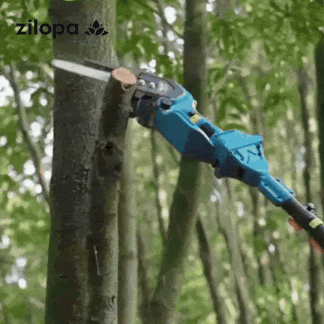 Cordless Mini Chainsaw