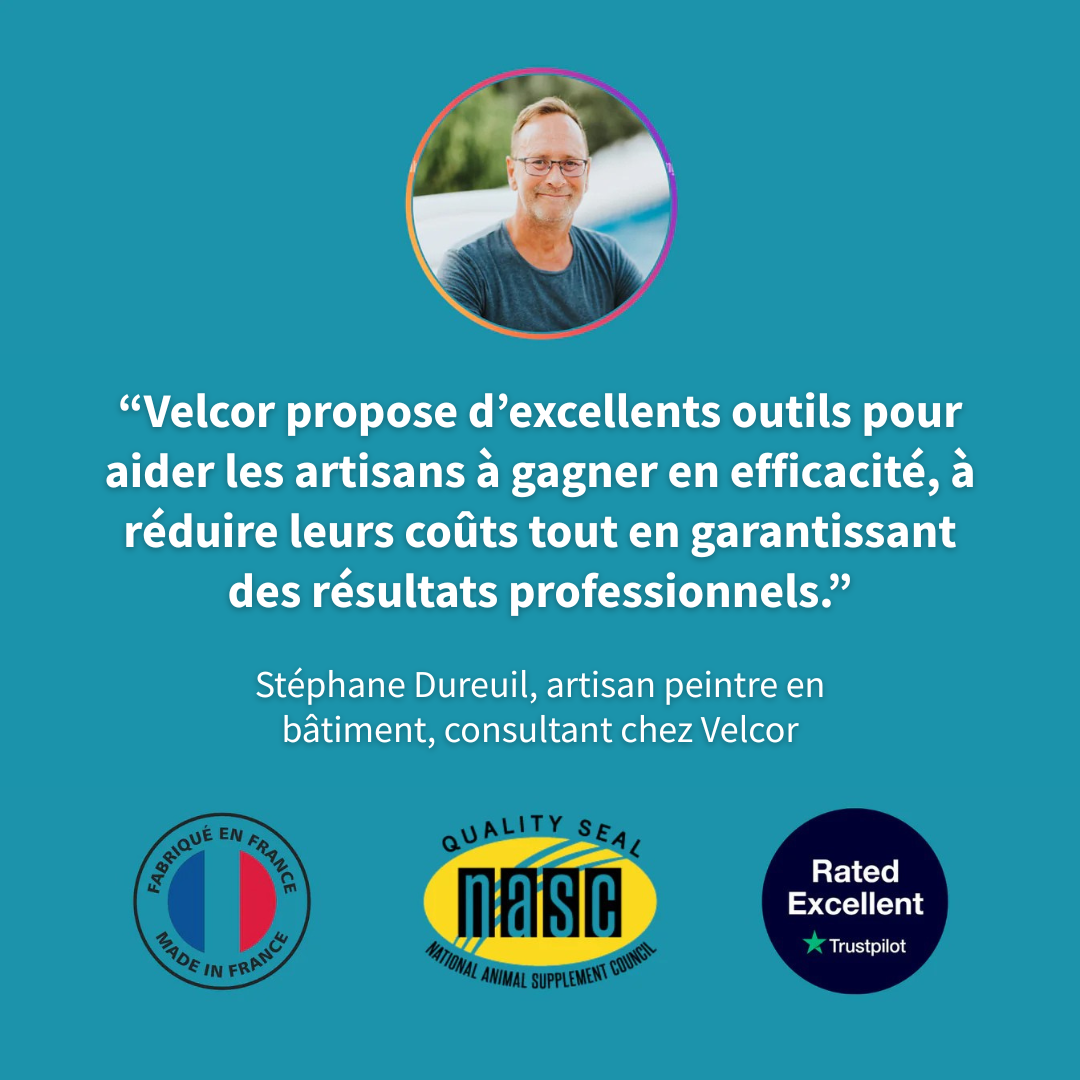 Pistolet à peinture sans fil